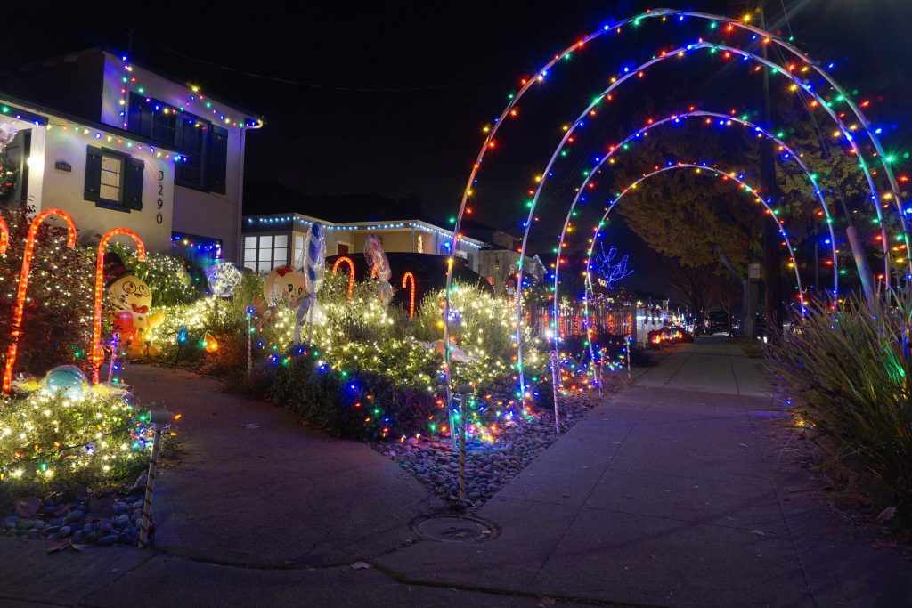 landscape string lights for christmas