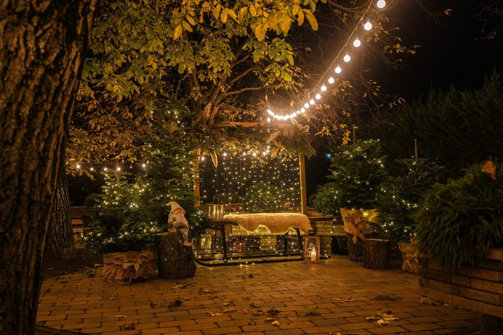 landscape string lights for garden; what is the difference between string lights and fairy lights