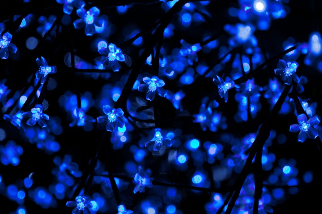 landscape string led lights; how to hang led string lights outdoors