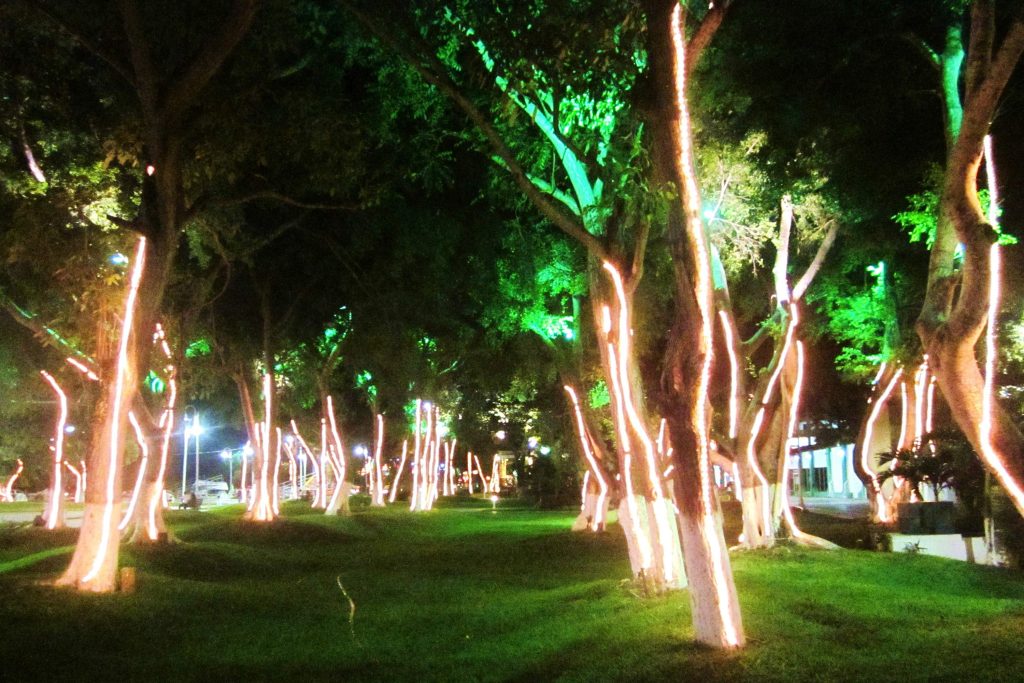 landscape string lights for trees; how to hang outdoor string lights on trees