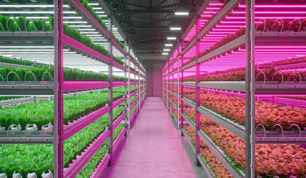 landscape strip lights for greenhouse