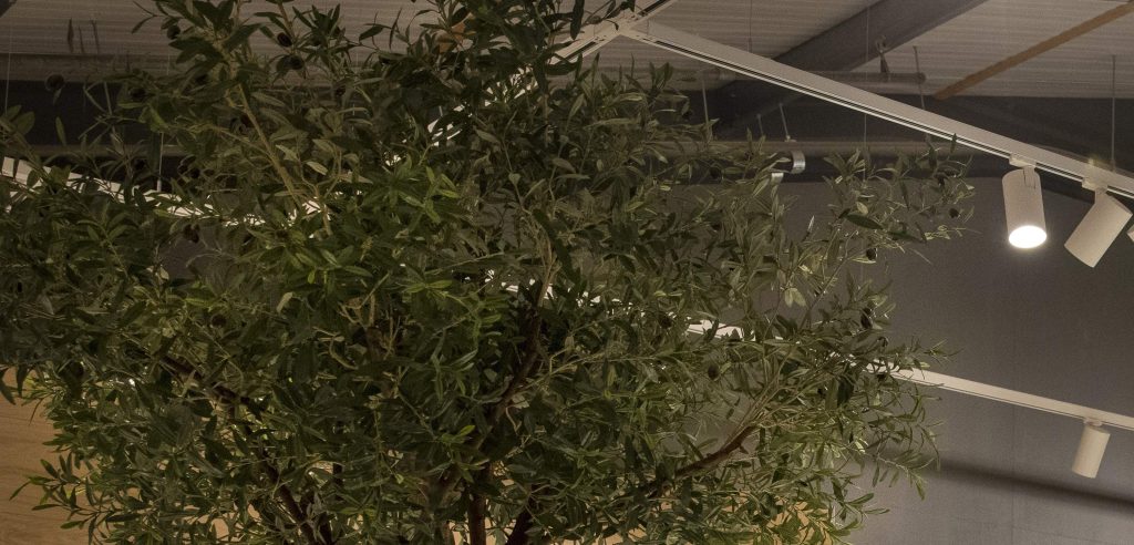 landscape track lights for trees