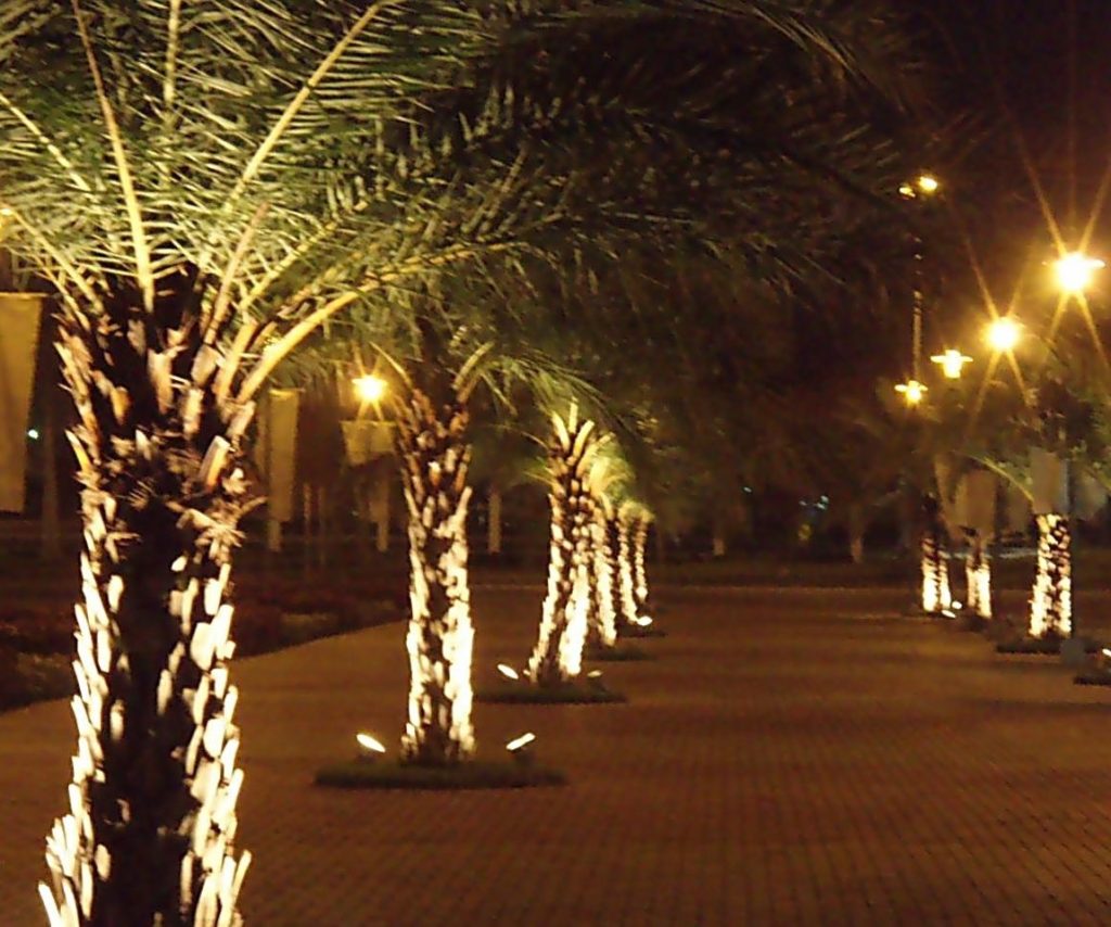 landscape tree accent lighting