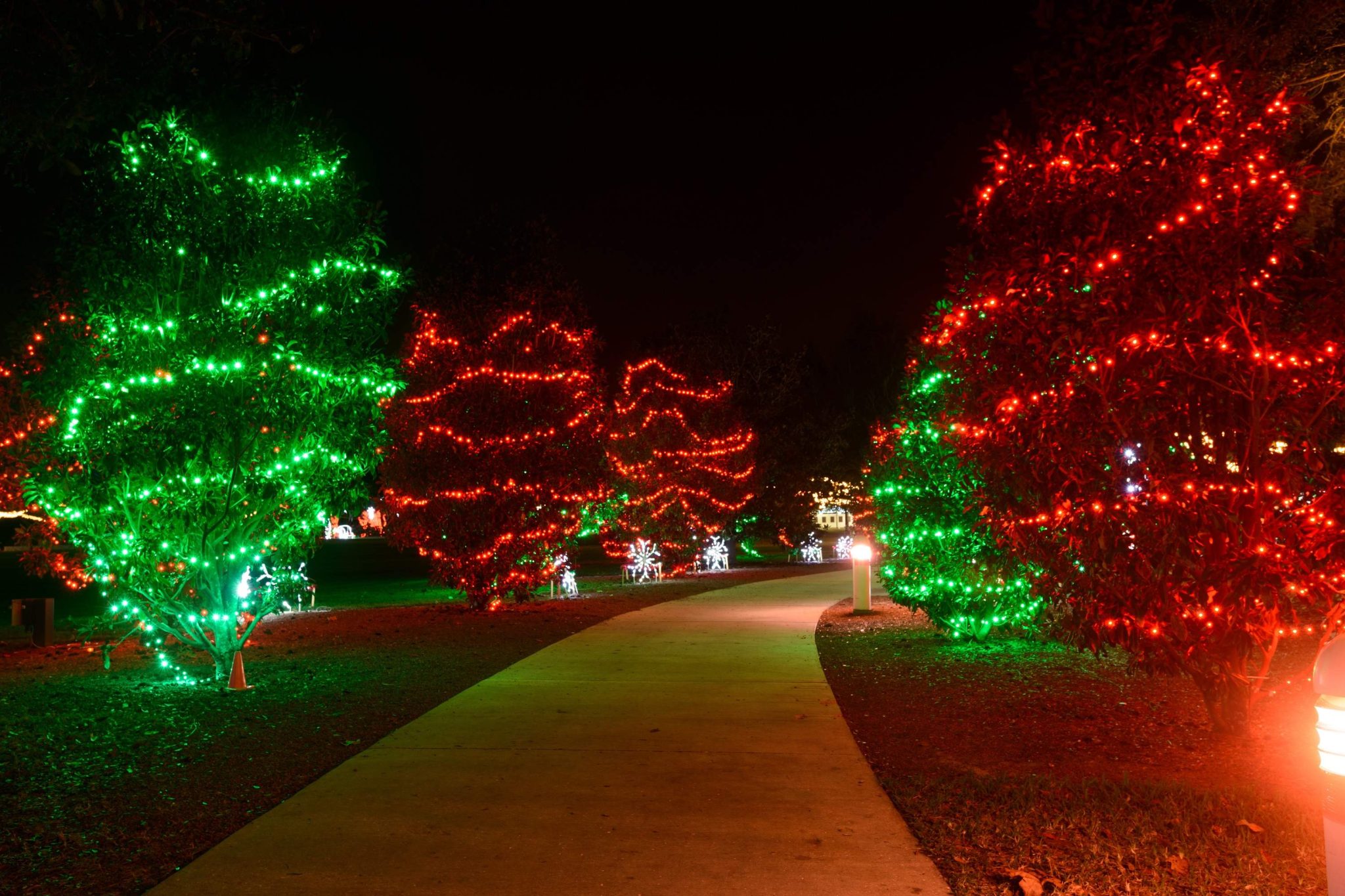 Practical Guide: How to String Lights on Trees? - LightscapesTech