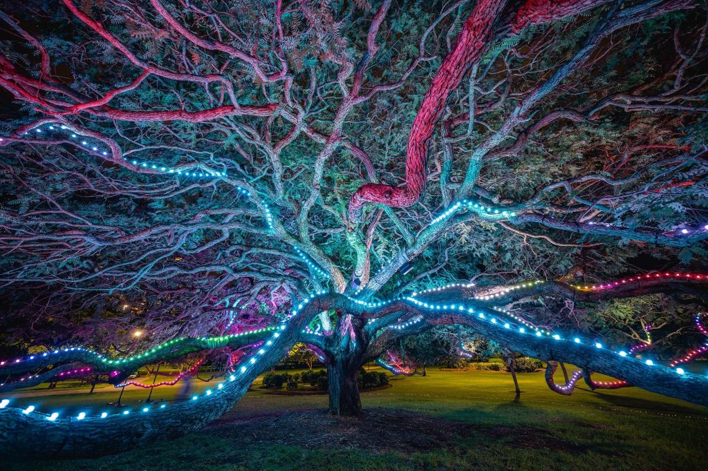 landscape tree lighting; how to install landscape lighting in trees