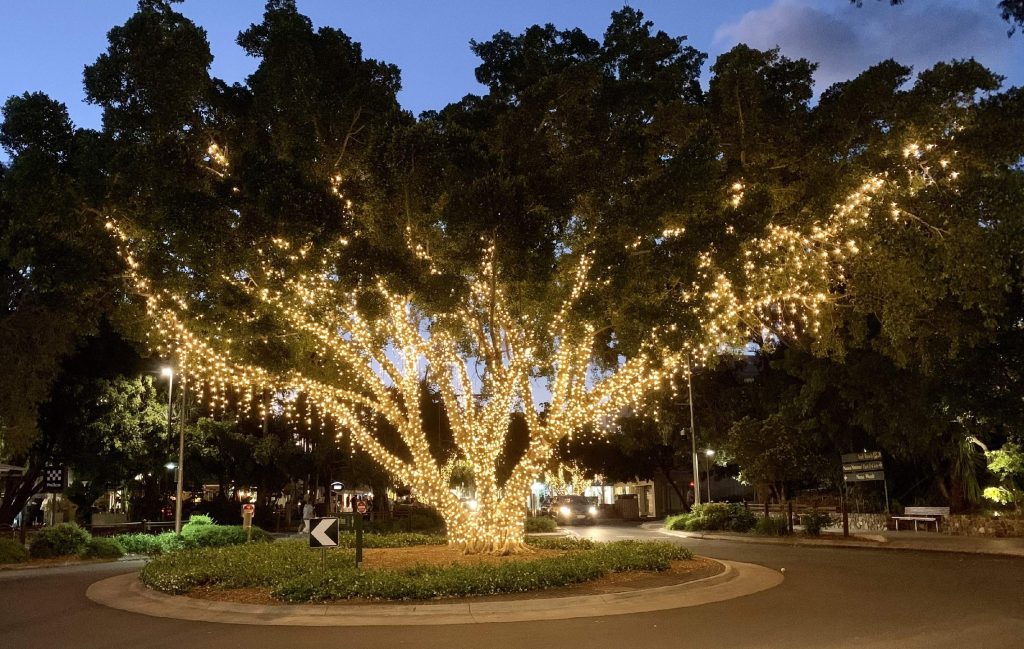 landscape tree lighting; how to install landscape lighting in trees