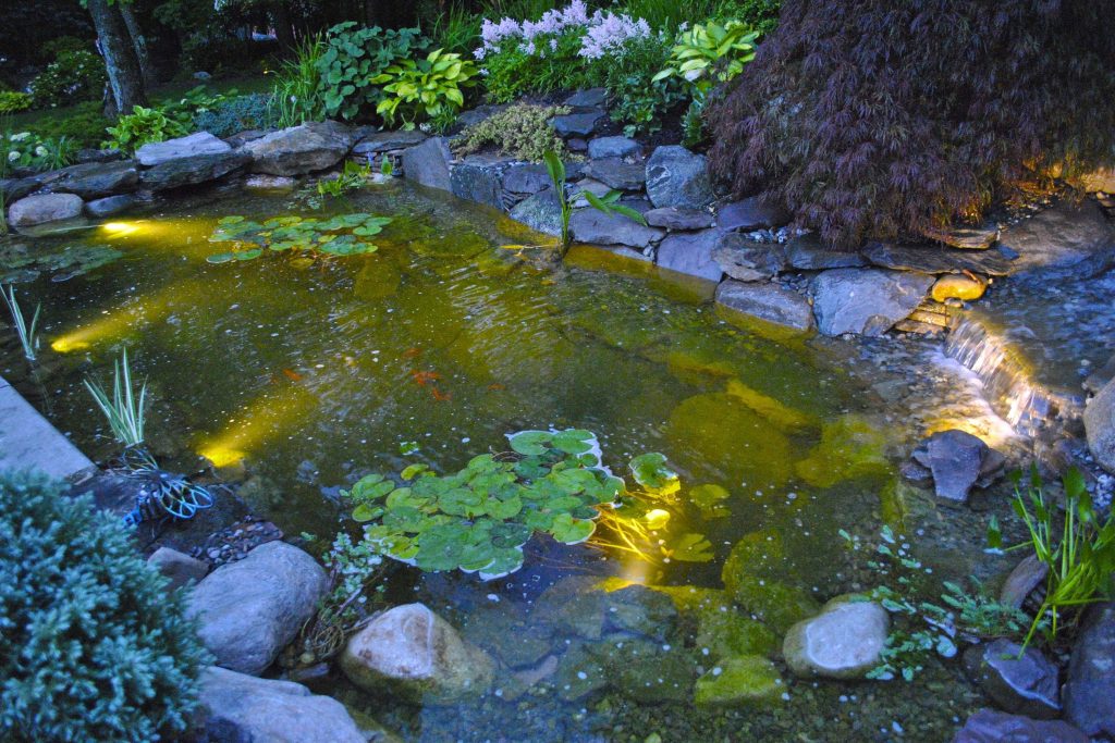 landscape underwater lighting for ponds