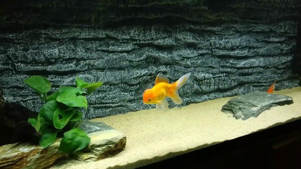 underwater lighting texture