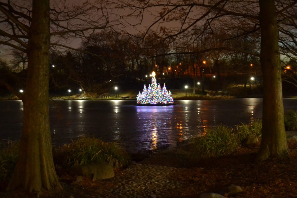 decorative lights floating on water