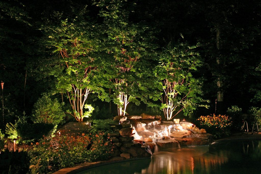 uplighting the trees near the water feature