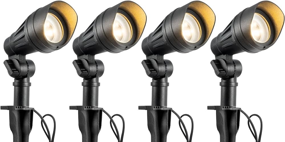 low-voltage landscape accent lighting