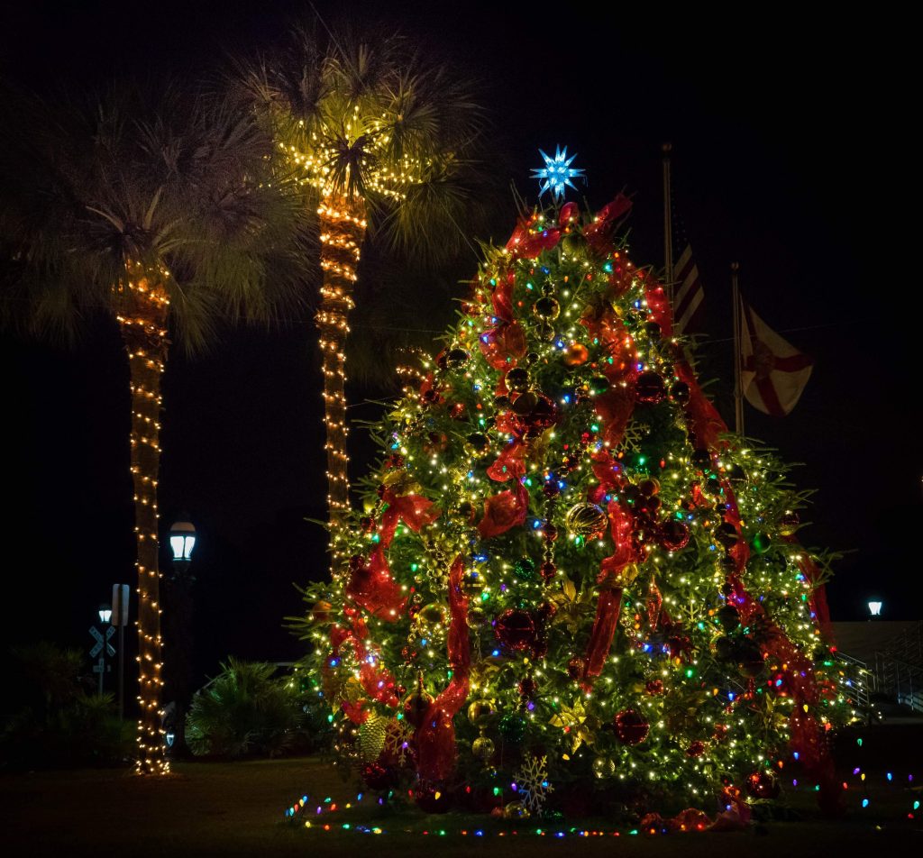 outdoor christmas tree lights; how to install landscape lighting in trees