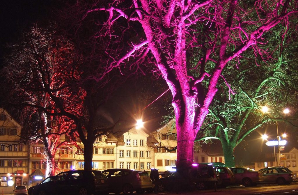 spotlights on the trees