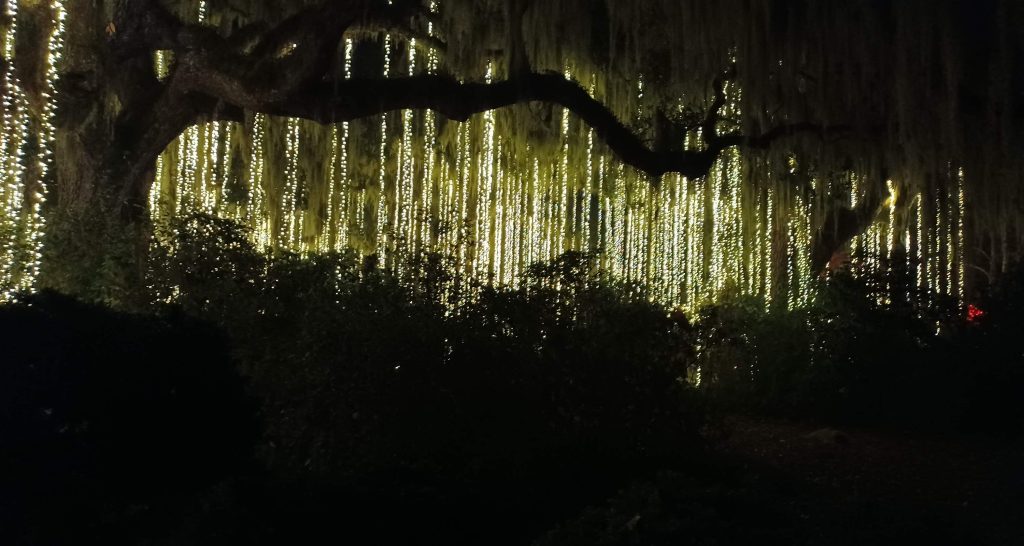 outdoor tree string lights; how many led string lights can be stranded together