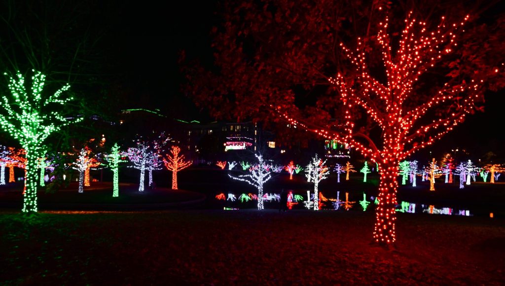 outdoor tree wrap lights