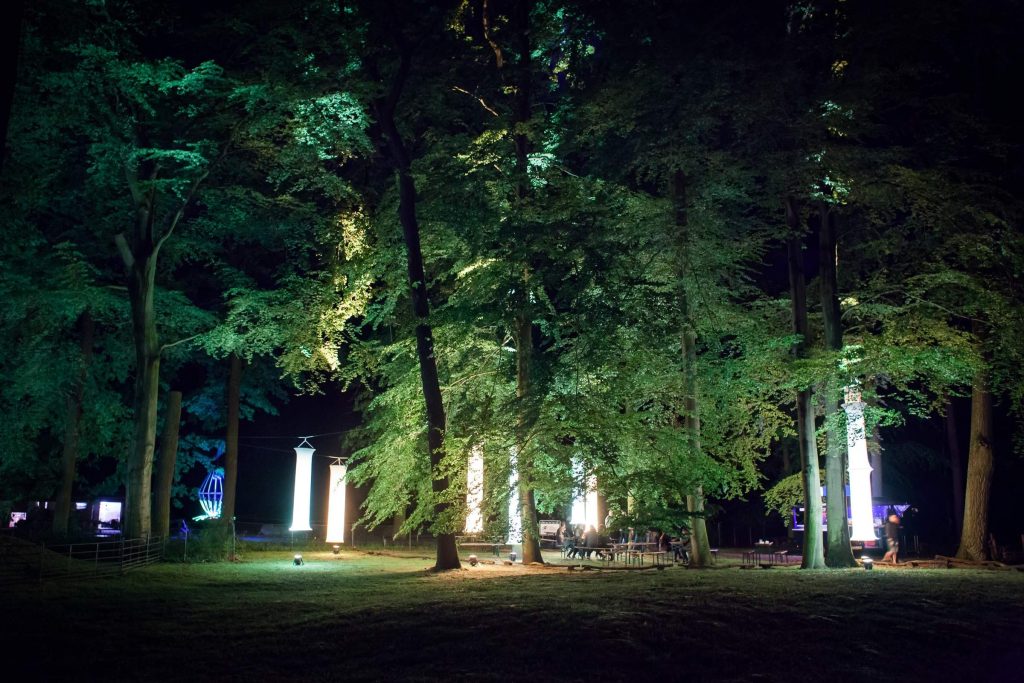 decorative lights in the park