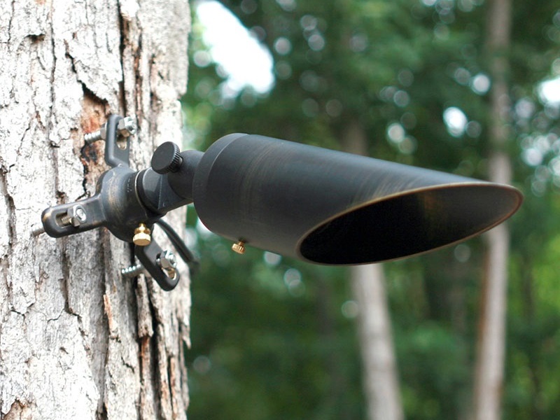 spot downlight on the tree