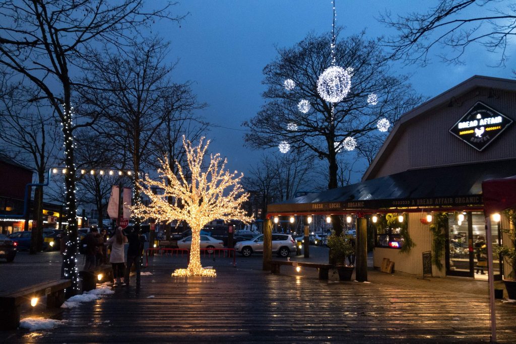 decorative LED lights