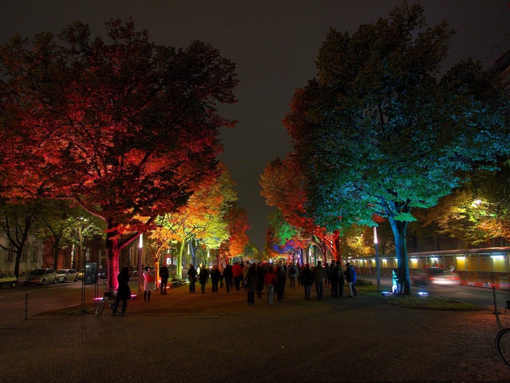 decorative uplights on trees
