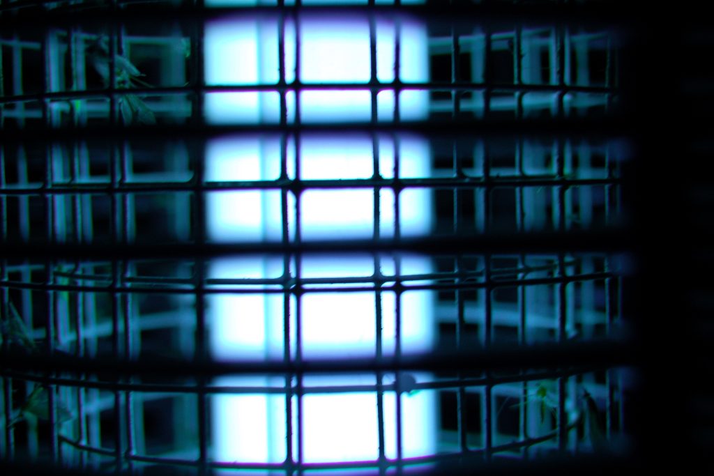 bug zapper; what color light kills insects